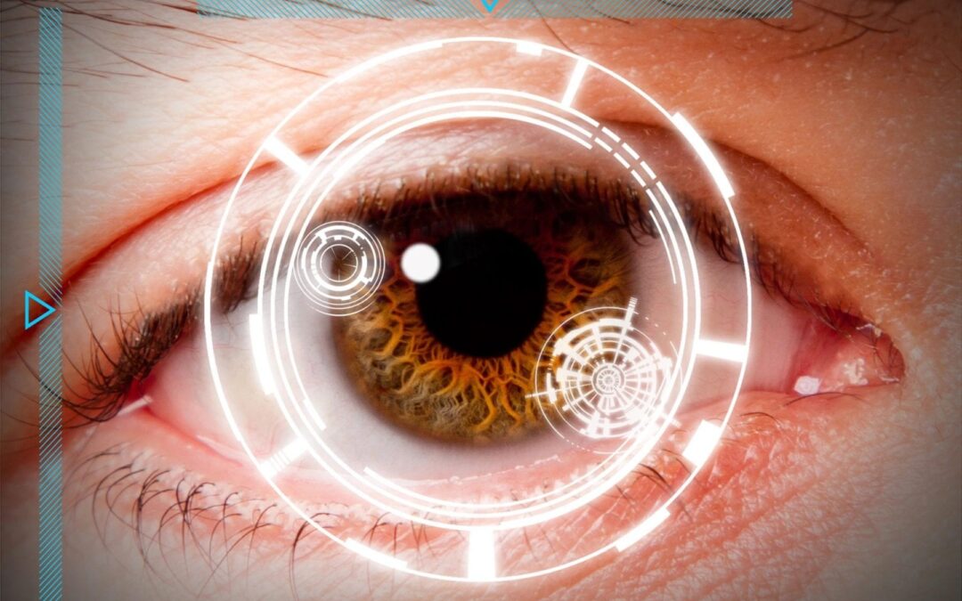 Contacts